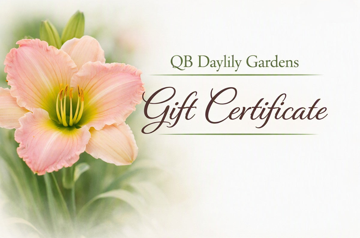 Electronic Gift Certificates