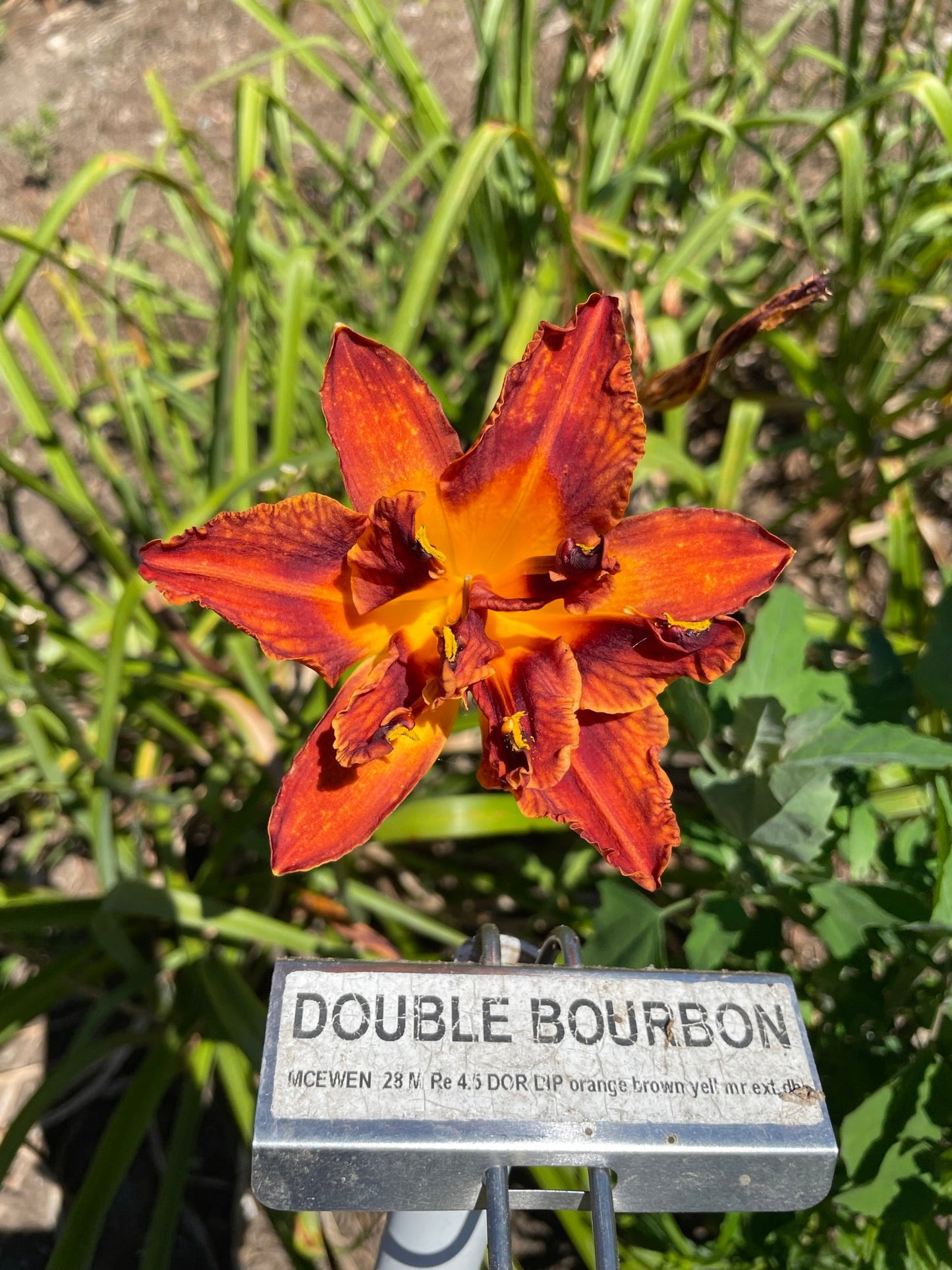 DOUBLE BOURBON
