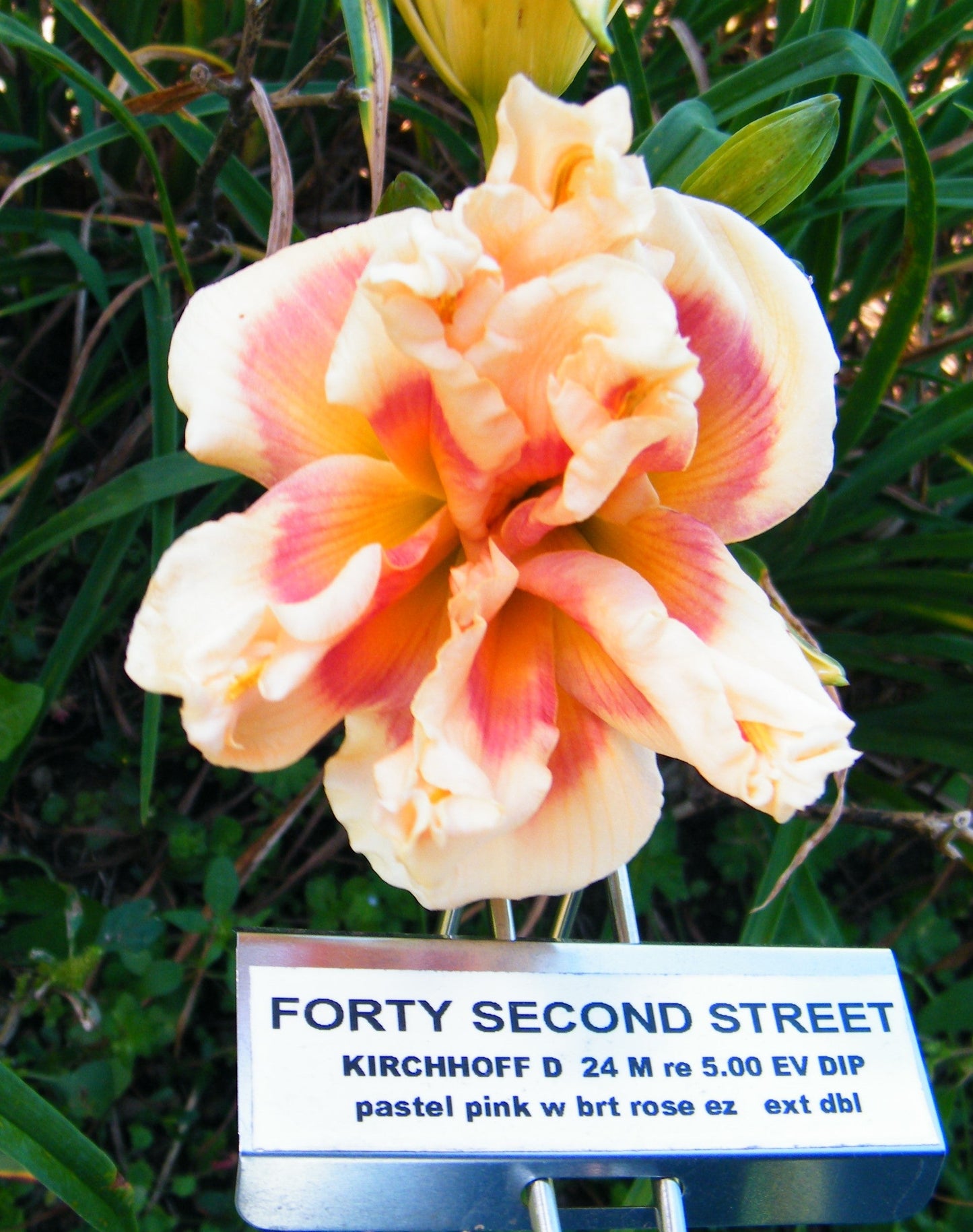 FORTY SECOND STREET