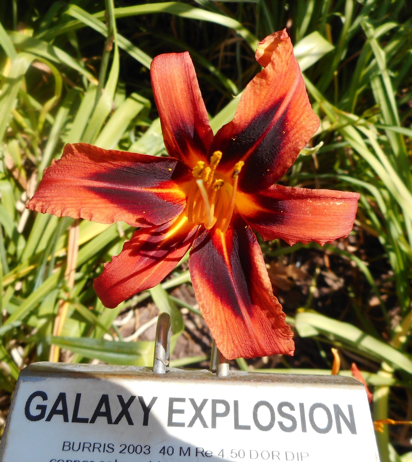 GALAXY EXPLOSION