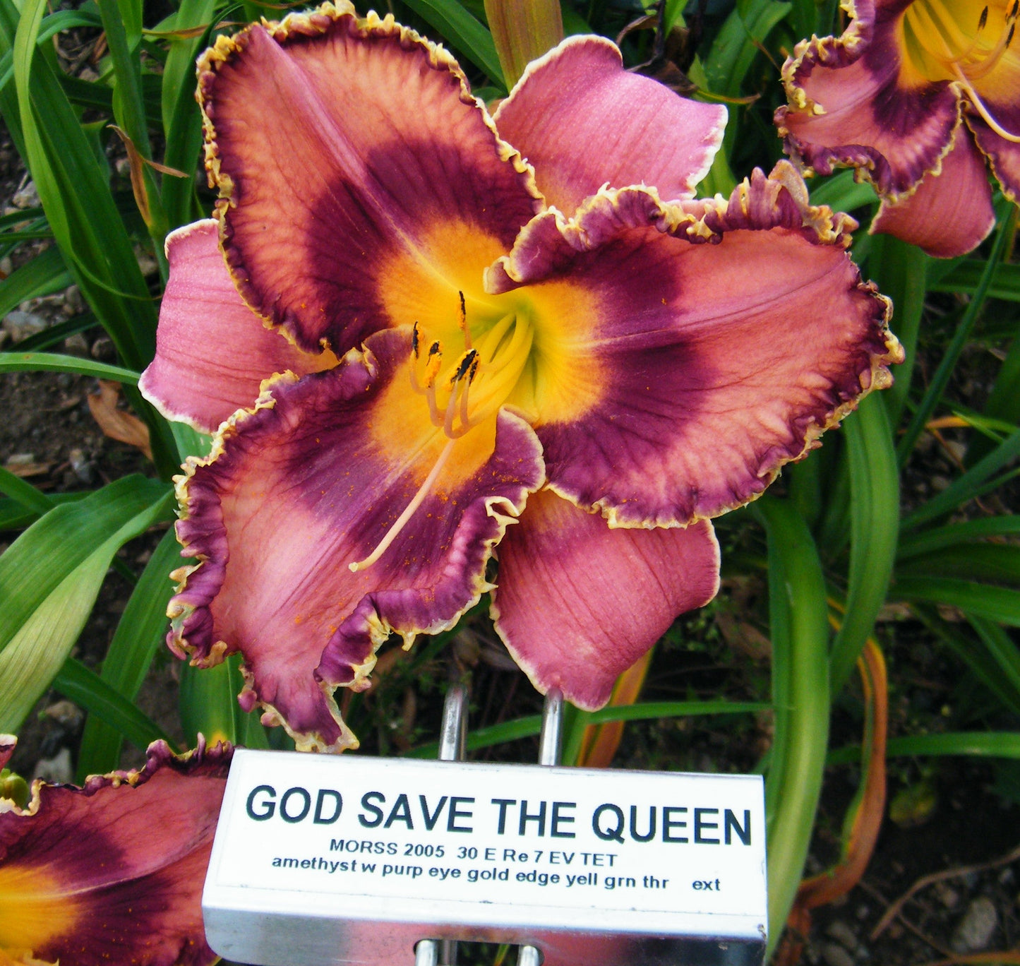 GOD SAVE THE QUEEN
