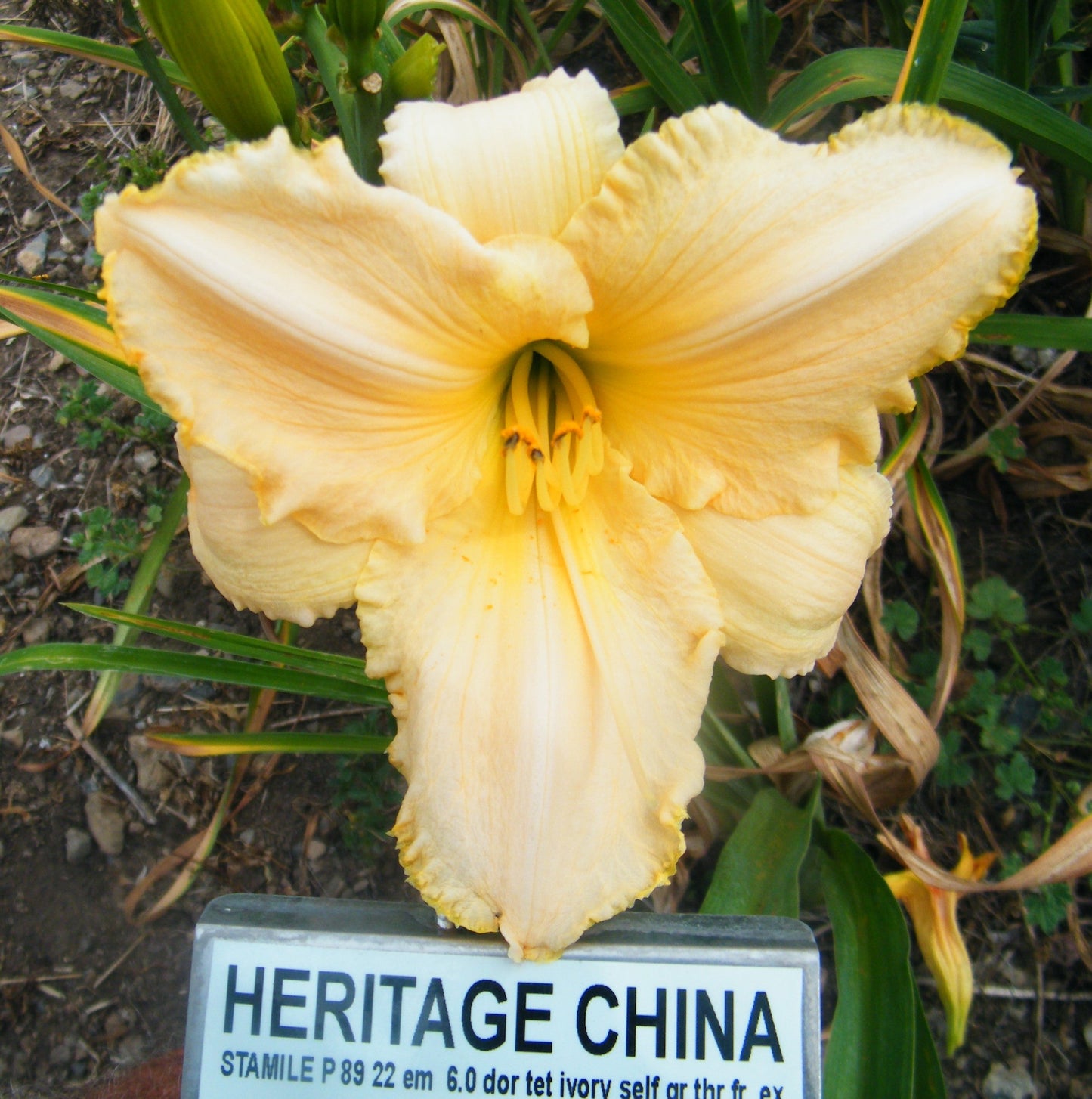 HERITAGE CHINA