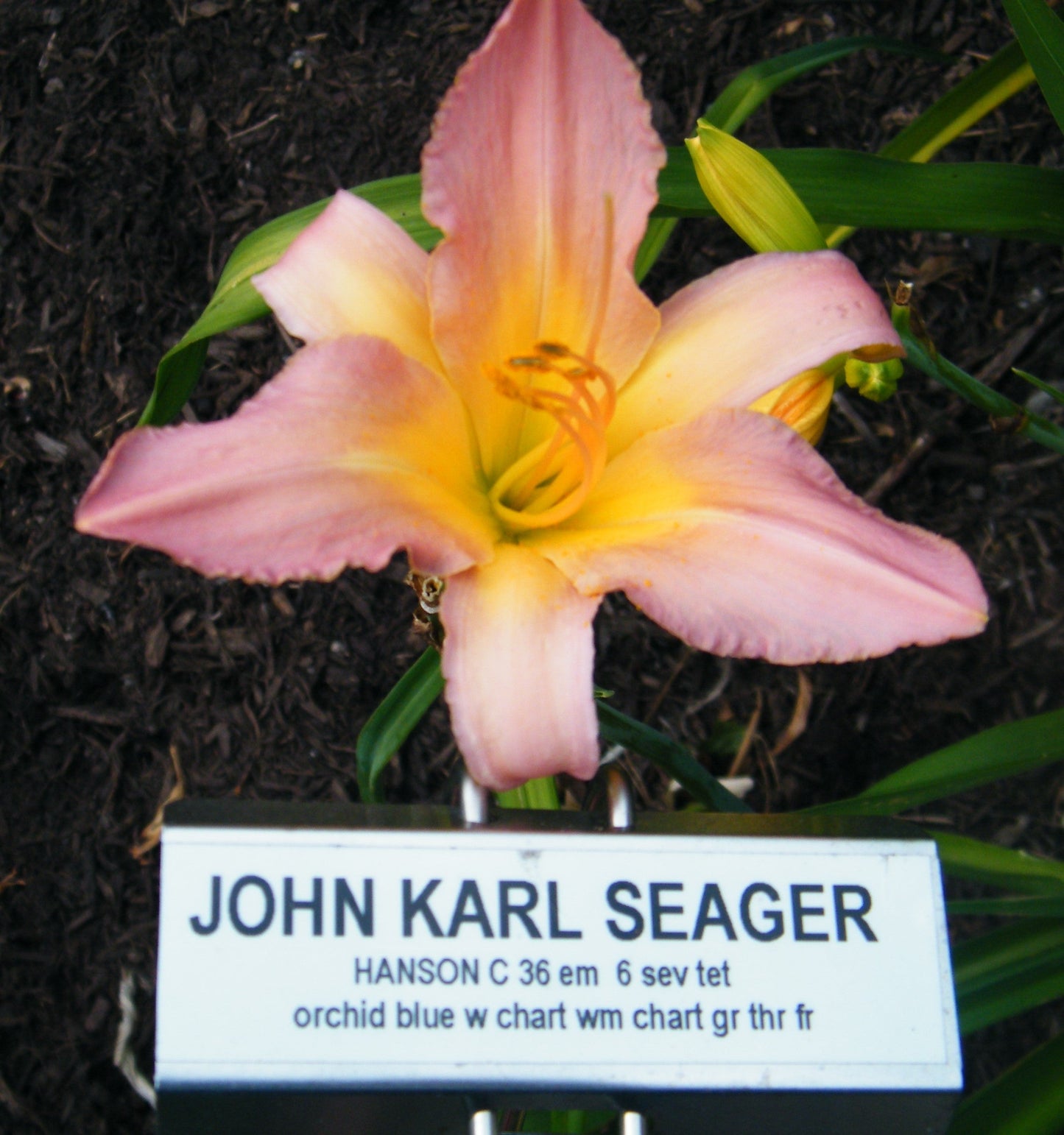 JOHN KARL SEAGER
