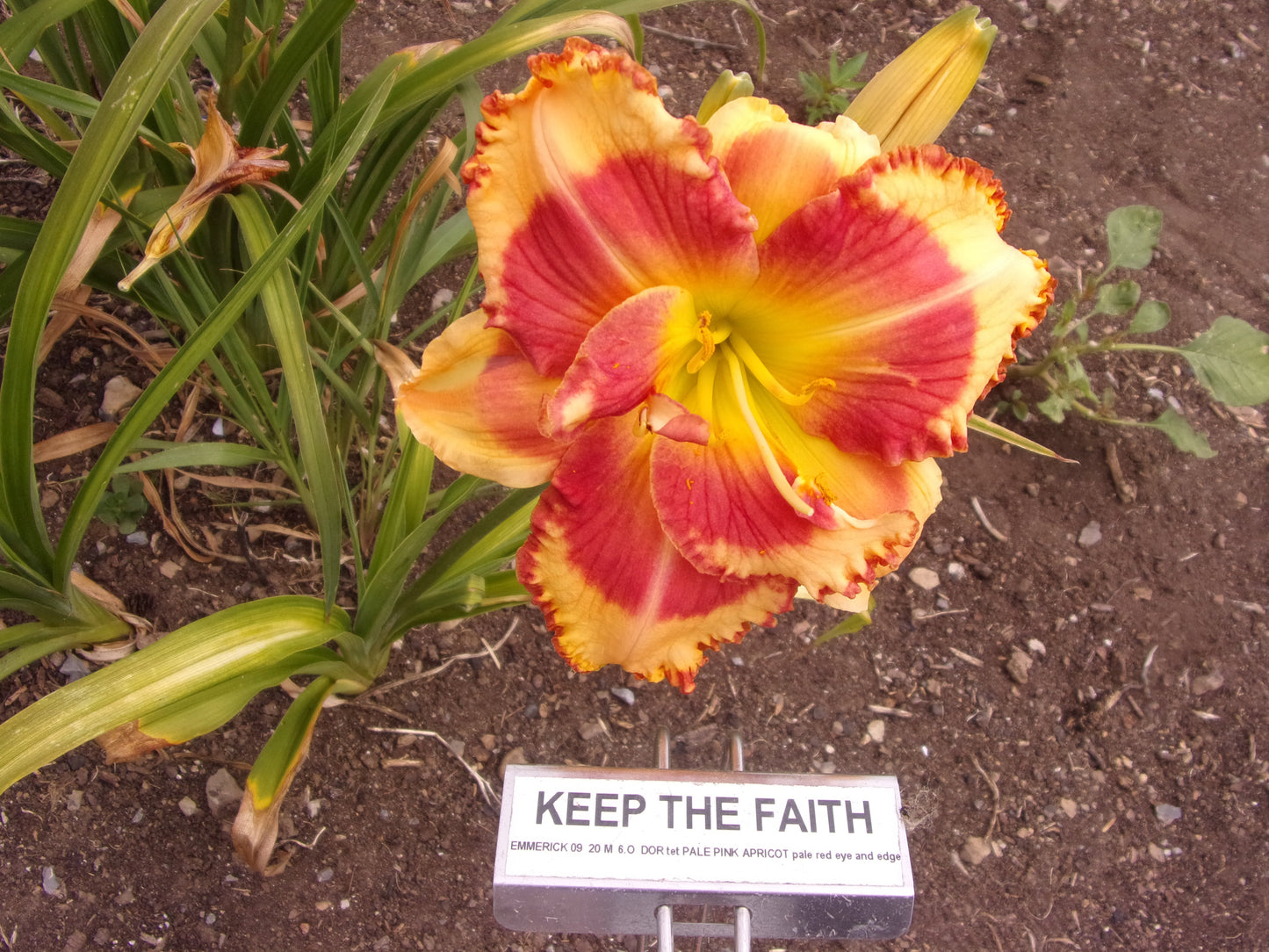 KEEP THE FAITH