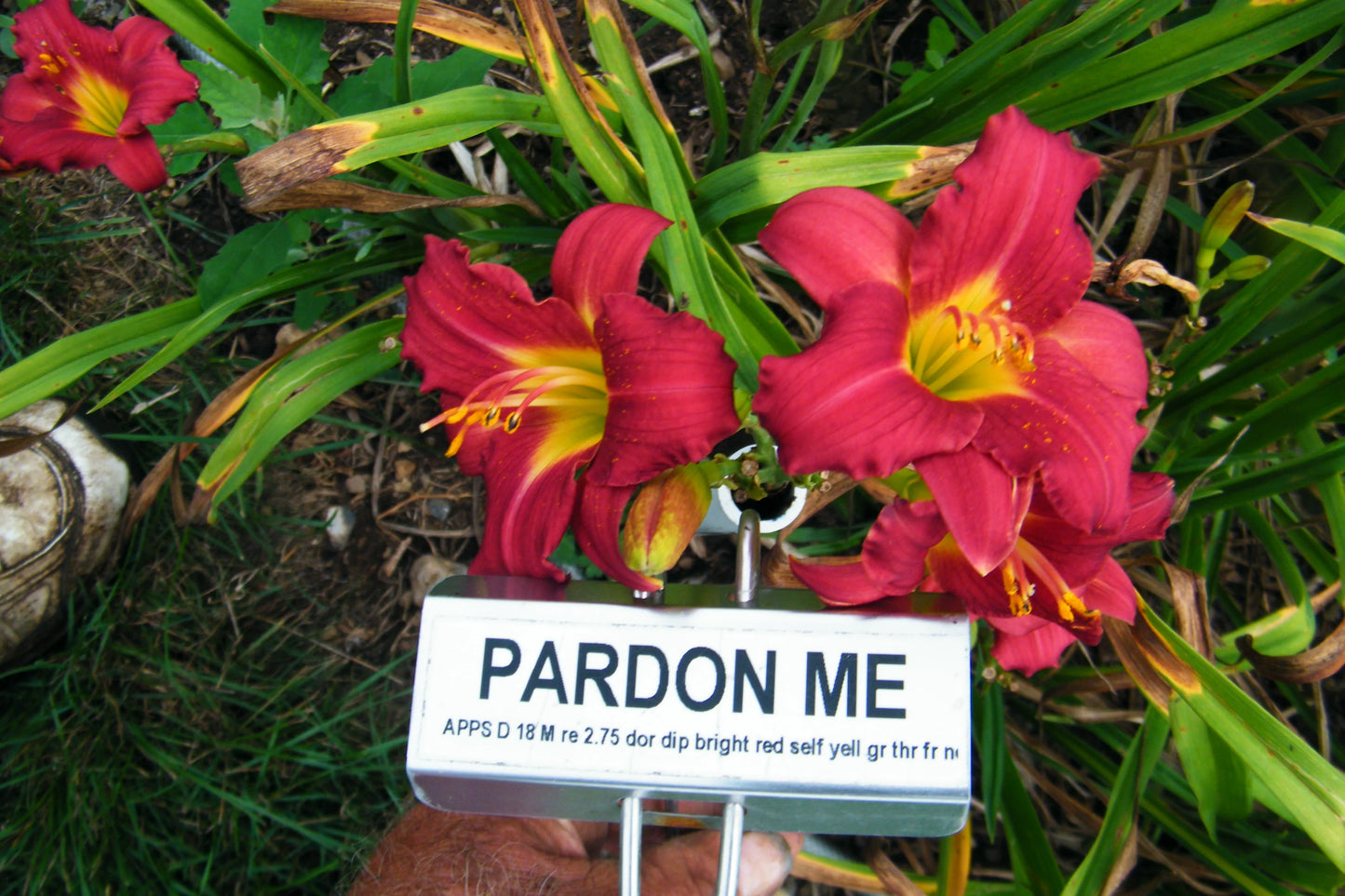 PARDON ME