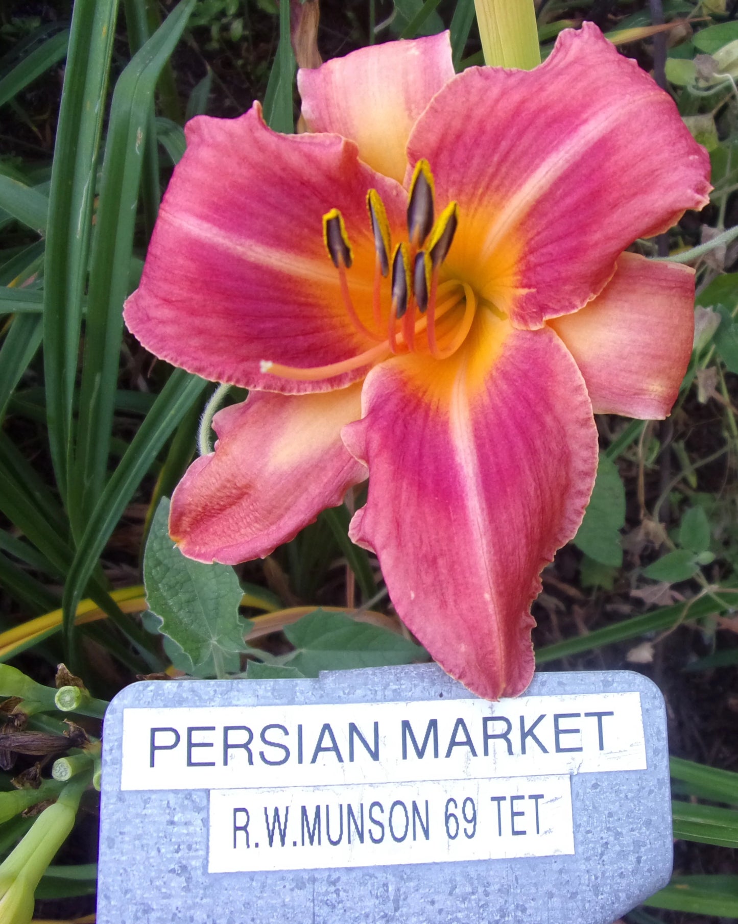 PERSIAN MARKET