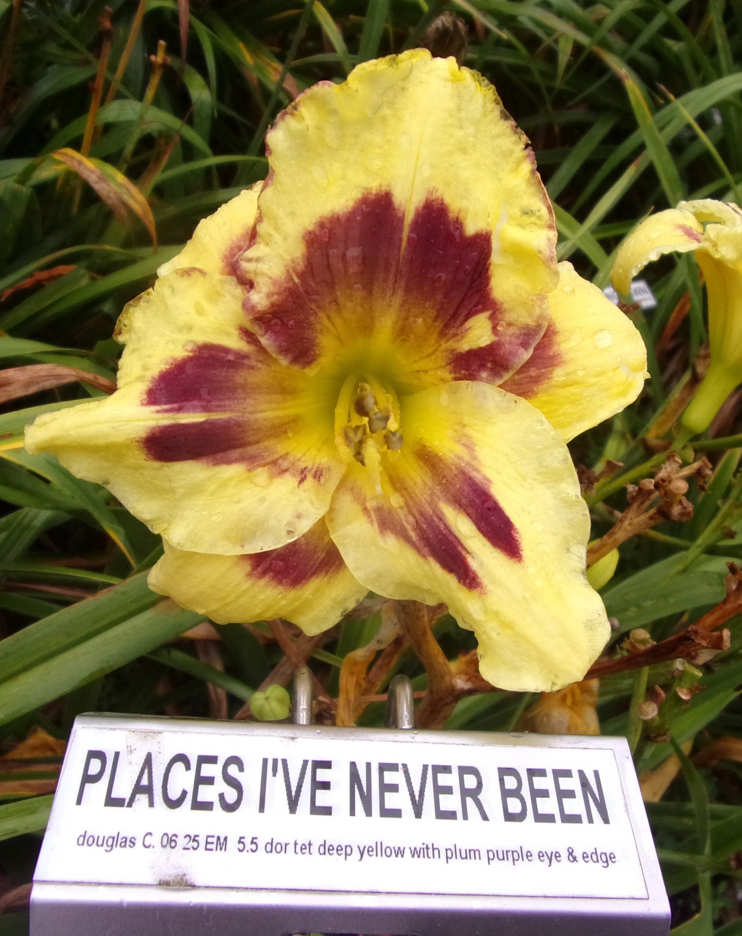 PLACES I'VE NEVER BEEN