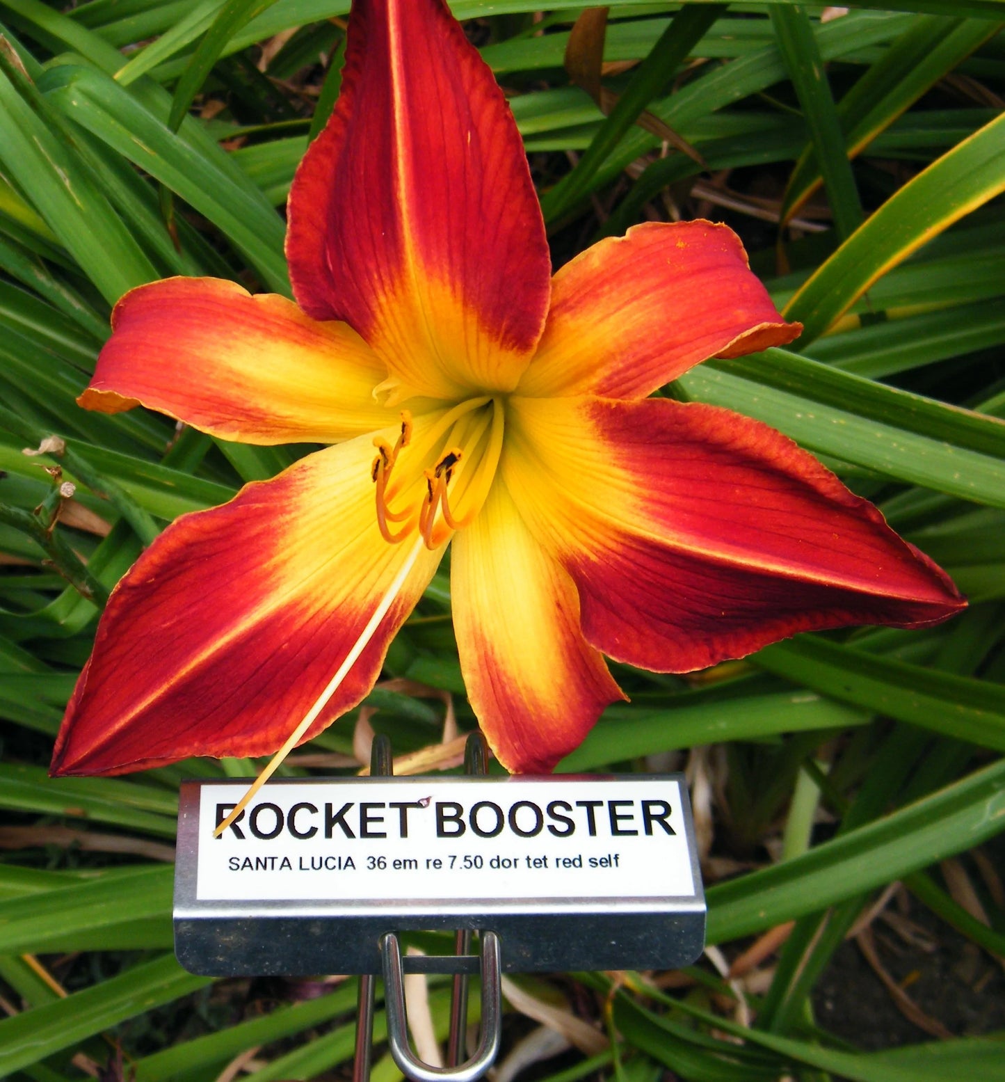 ROCKET BOOSTER
