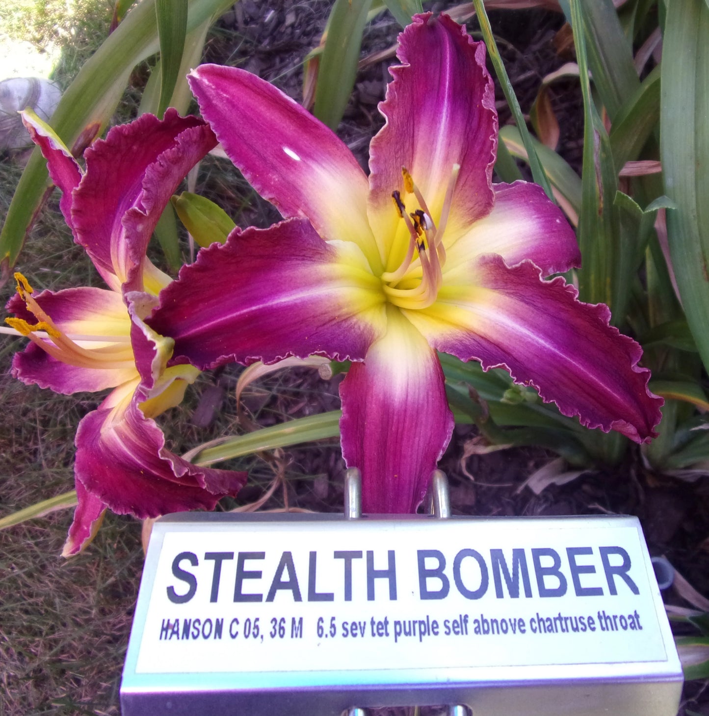 STEALTH BOMBER