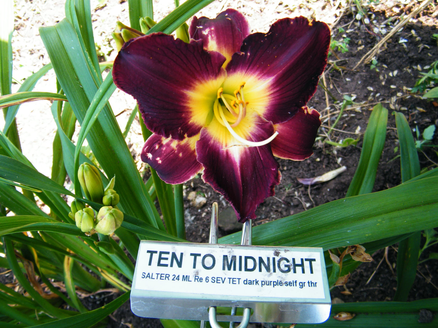 TEN TO MIDNIGHT