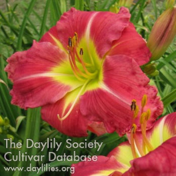 ANNANDALE PLANTATION