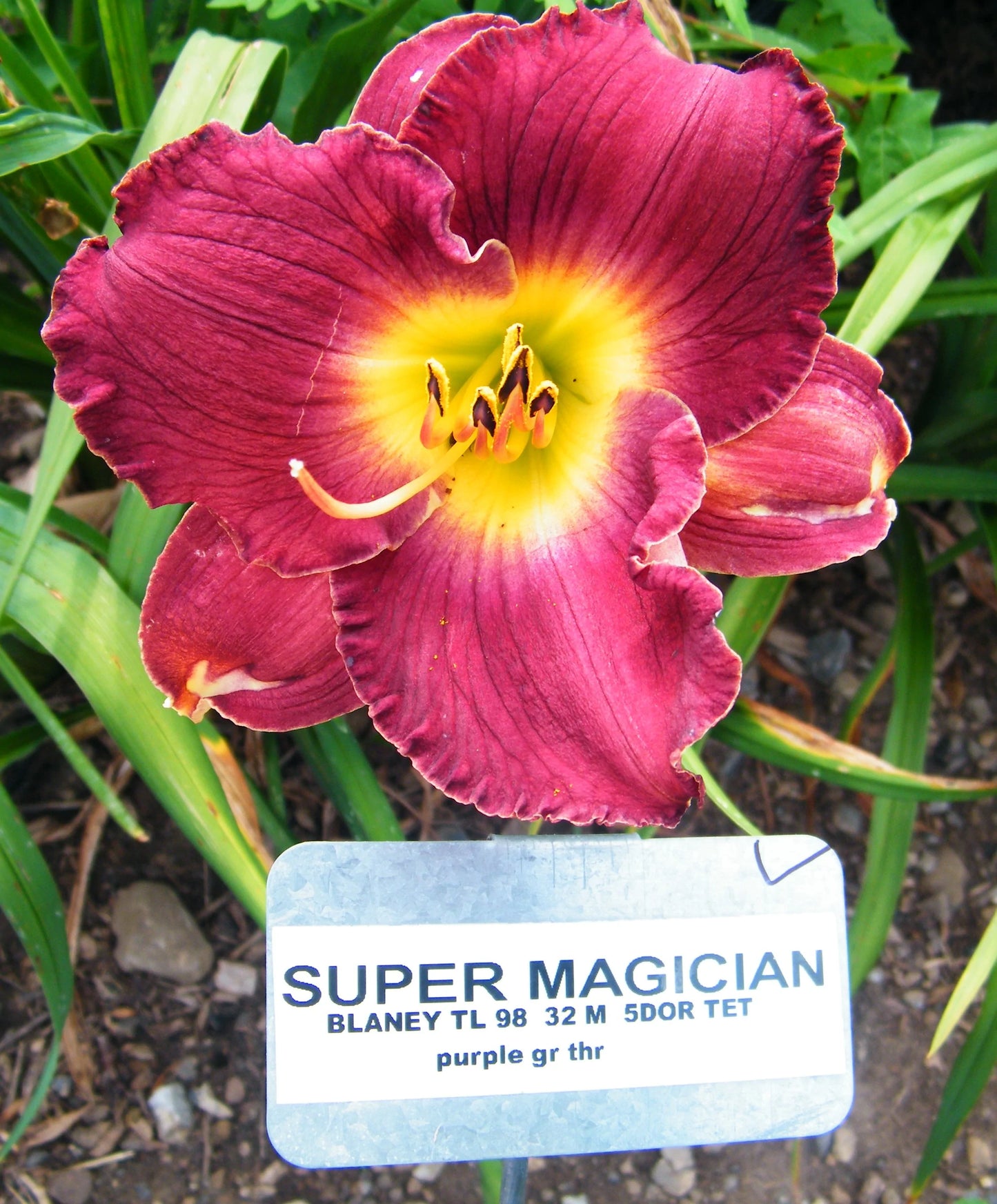 SUPER MAGICIAN