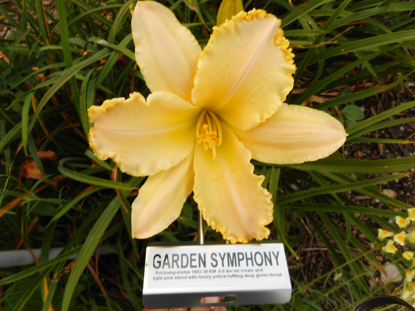 GARDEN SYMPHONY