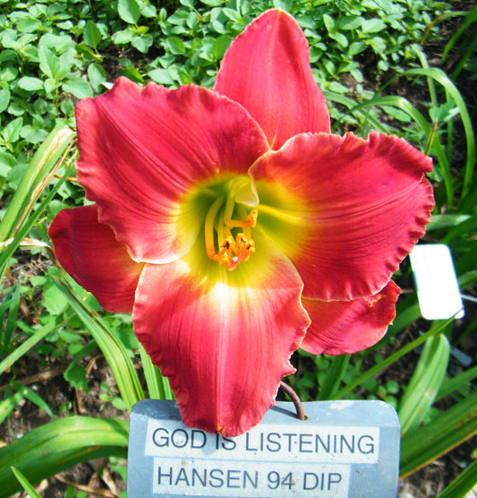 GOD IS LISTENING