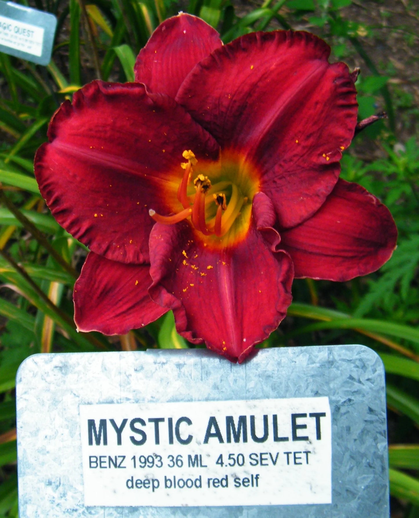 MYSTIC AMULET