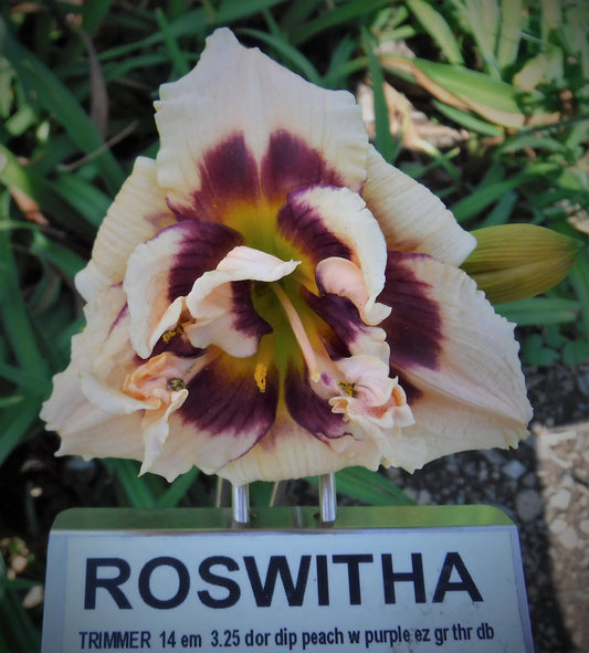 ROSWITHA