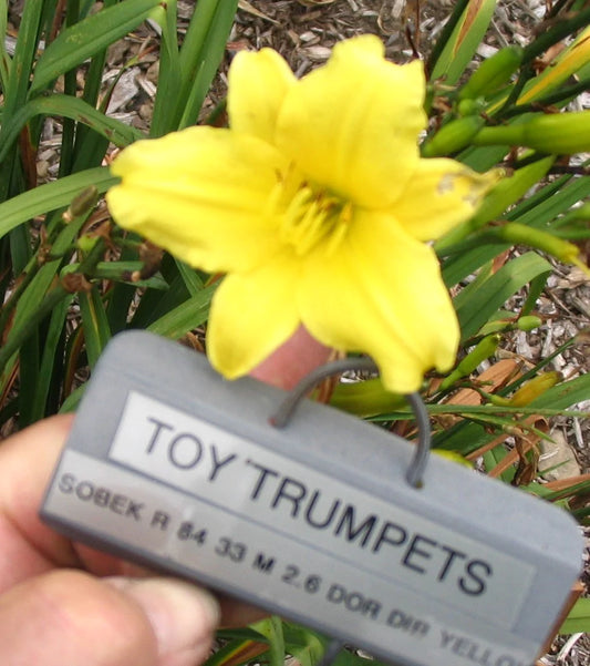 TOY TRUMPETS