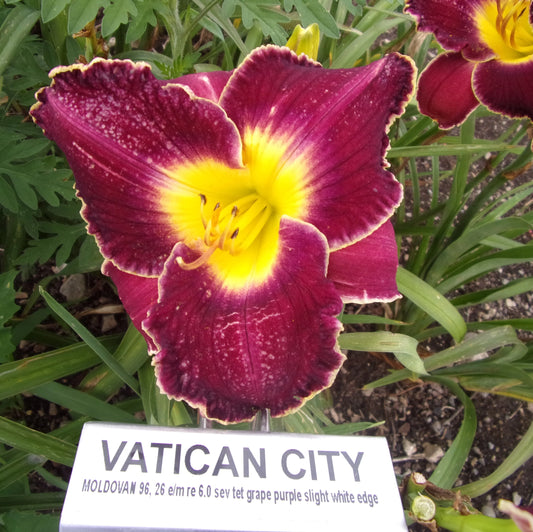 VATICAN CITY